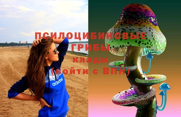 стаф Белоозёрский