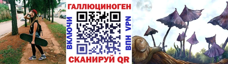 Галлюциногенные грибы MAGIC MUSHROOMS  Купить закладки  Аргун 